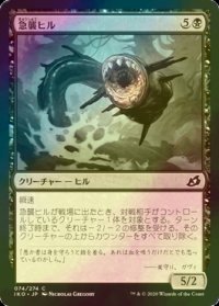[FOIL] 急襲ヒル/Blitz Leech 【日本語版】 [IKO-黒C]