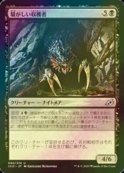 画像1: [FOIL] 騒がしい収穫者/Chittering Harvester 【日本語版】 [IKO-黒U]