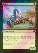 [FOIL] 鋸刃蠍/Serrated Scorpion 【日本語版】 [IKO-黒C]