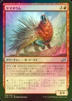 画像1: [FOIL] ヤマオウム/Porcuparrot 【日本語版】 [IKO-赤U]