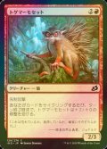 [FOIL] トゲマーモセット/Prickly Marmoset 【日本語版】 [IKO-赤C]