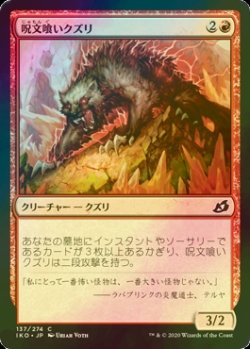 画像1: [FOIL] 呪文喰いクズリ/Spelleater Wolverine 【日本語版】 [IKO-赤C]