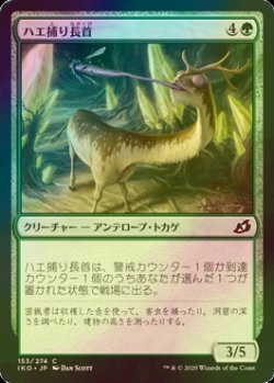 画像1: [FOIL] ハエ捕り長首/Flycatcher Giraffid 【日本語版】 [IKO-緑C]