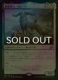 [FOIL] 孤児護り、カヒーラ/Kaheera, the Orphanguard 【日本語版】 [IKO-金R]