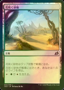 画像1: [FOIL] 花咲く砂地/Blossoming Sands 【日本語版】 [IKO-土地C]