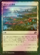 [FOIL] 進化する未開地/Evolving Wilds 【日本語版】 [IKO-土地C]