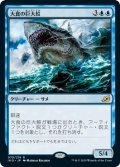 大食の巨大鮫/Voracious Greatshark 【日本語版】 [IKO-青R]