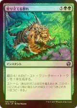 [FOIL] 狩り立てる群れ/Hunting Pack 【日本語版】 [IMA-緑U]