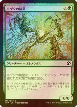 画像1: [FOIL] キヅタの精霊/Ivy Elemental 【日本語版】 [IMA-緑C]