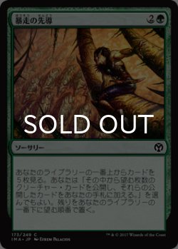 画像1: 暴走の先導/Lead the Stampede 【日本語版】 [IMA-緑C]