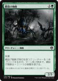 網投げ蜘蛛/Netcaster Spider 【日本語版】 [IMA-緑C]