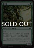 根の壁/Wall of Roots 【日本語版】 [IMA-緑C]