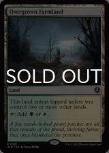 草茂る農地/Overgrown Farmland 【英語版】 [INR-土地R]