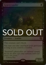 [FOIL] 墓所這い/Gravecrawler 【英語版】 [INR-黒R]