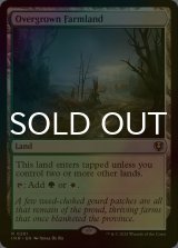 [FOIL] 草茂る農地/Overgrown Farmland 【英語版】 [INR-土地R]