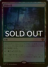 [FOIL] 夢根の滝/Dreamroot Cascade 【日本語版】 [INR-土地R]
