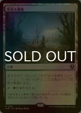 [FOIL] 草茂る農地/Overgrown Farmland 【日本語版】 [INR-土地R]