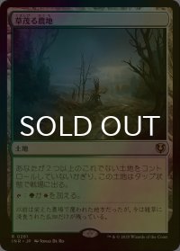 [FOIL] 草茂る農地/Overgrown Farmland 【日本語版】 [INR-土地R]
