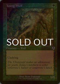 [FOIL] 若き狼/Young Wolf (旧枠) 【英語版】 [INR-緑C]