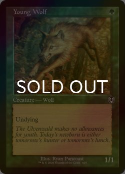 画像1: [FOIL] 若き狼/Young Wolf (旧枠) 【英語版】 [INR-緑C]