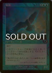 [FOIL] 霧鴉/Mist Raven (旧枠) 【日本語版】 [INR-青U]