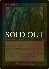 [FOIL] 豊かな成長/Abundant Growth (旧枠) 【日本語版】 [INR-緑C]
