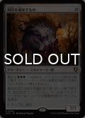 州民を滅ぼすもの/Decimator of the Provinces 【日本語版】 [INR-無R]