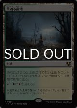 草茂る農地/Overgrown Farmland 【日本語版】 [INR-土地R]