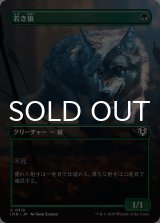 若き狼/Young Wolf (全面アート版) 【日本語版】 [INR-緑C]