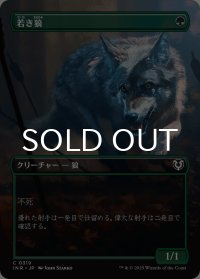 若き狼/Young Wolf (全面アート版) 【日本語版】 [INR-緑C]