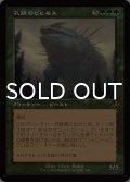 孔蹄のビヒモス/Craterhoof Behemoth (旧枠) 【日本語版】 [INR-緑MR]