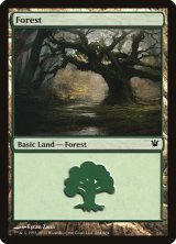 森/Forest No.264 【英語版】 [ISD-土地C]