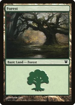 画像1: 森/Forest No.264 【英語版】 [ISD-土地C]