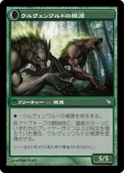 画像2: ウルヴェンワルドの神秘家/Ulvenwald Mystics 【日本語版】 [ISD-緑U]