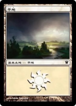 画像1: 平地/Plains No.250 【日本語版】 [ISD-土地C]