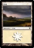 平地/Plains No.252 【日本語版】 [ISD-土地C]