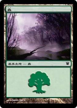 画像1: 森/Forest No.262 【日本語版】 [ISD-土地C]