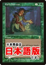 早摘み/Early Harvest (7ED/緑R/日/foil/LPLD) ※詳細要確認