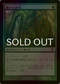 豊かな成長/Abundant Growth (AVR/緑C/日/Foil/NM) ※詳細要確認