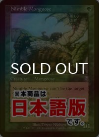 敏捷なマングース/Nimble Mongoose (ODY/緑U/日/foil/NM) ※詳細要確認
