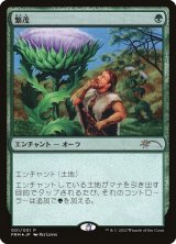 繁茂/Wild Growth (PRM/緑R/日/foil/NM) ※詳細要確認