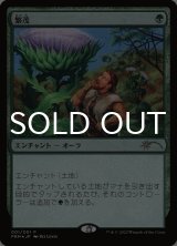 繁茂/Wild Growth (PRM/緑R/日/foil/NM) ※詳細要確認