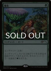 繁茂/Wild Growth (PRM/緑R/日/foil/NM) ※詳細要確認