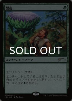 画像1: 繁茂/Wild Growth (PRM/緑R/日/foil/NM) ※詳細要確認