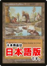 ヤヴィマヤのうろ穴/Yavimaya Hollow (UDS/土地R/日/通常/NM) ※詳細要確認