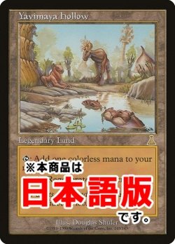 画像1: ヤヴィマヤのうろ穴/Yavimaya Hollow (UDS/土地R/日/通常/NM) ※詳細要確認