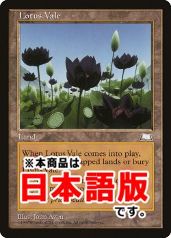 画像1: 水蓮の谷間/Lotus Vale (WTH/土地R/日/通常/NM) ※詳細要確認