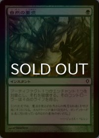 自然の要求/Nature's Claim (WWK/緑C/日/foil/NM) ※詳細要確認