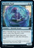 マーフォークの学徒/Merfolk Pupil 【英語版】 [J22-青C]