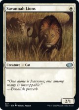 サバンナ・ライオン/Savannah Lions 【英語版】 [J22-白U]